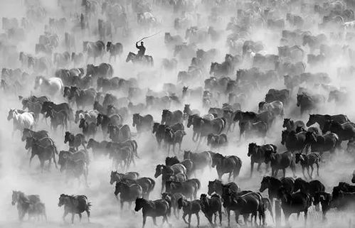 追夢這五年，梧州文藝且歌且行——文藝創作篇